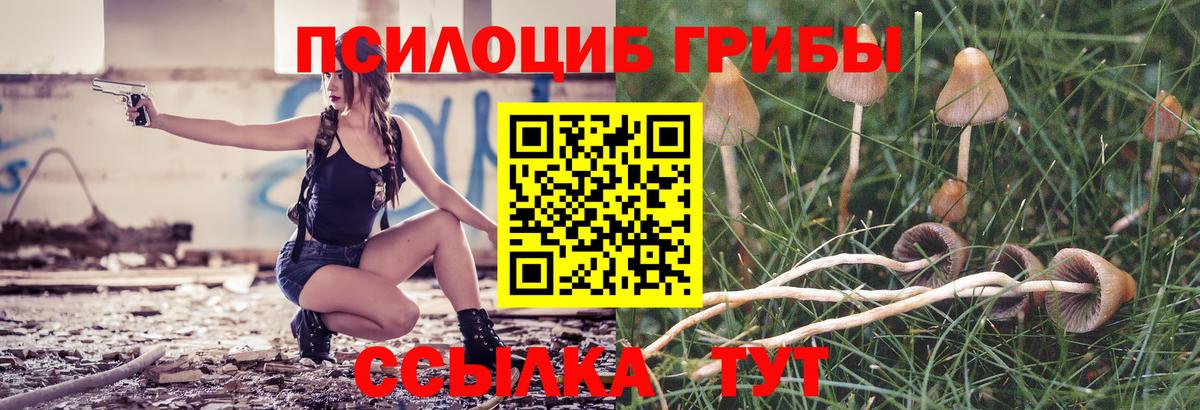 Галлюциногенные грибы Cubensis  купить   Каменск-Уральский  Вход с VPN  Псилоцибиновые грибы мухоморы 